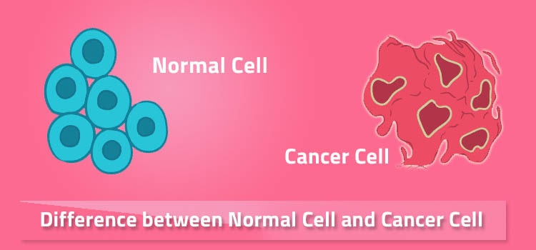 How Do Cancer Cells Differ from Normal Cells