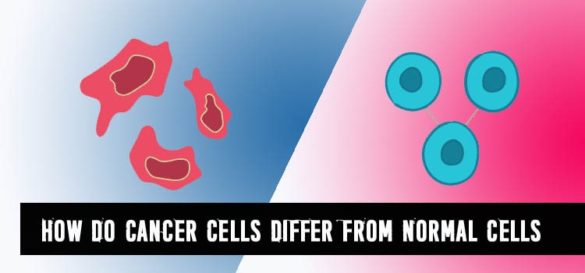 How Do Cancer Cells Differ from Normal Cells - Life Cycle Blog