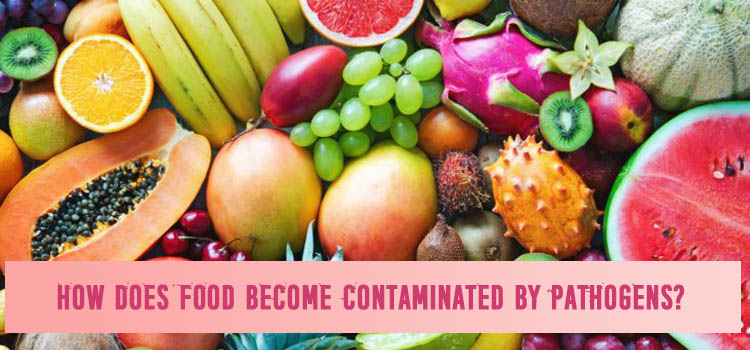 How does food become contaminated by pathogens