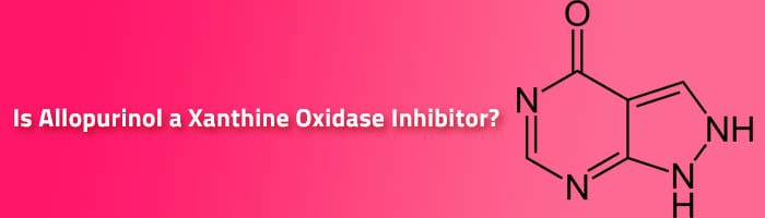 Is Allopurinol a Xanthine Oxidase Inhibitor